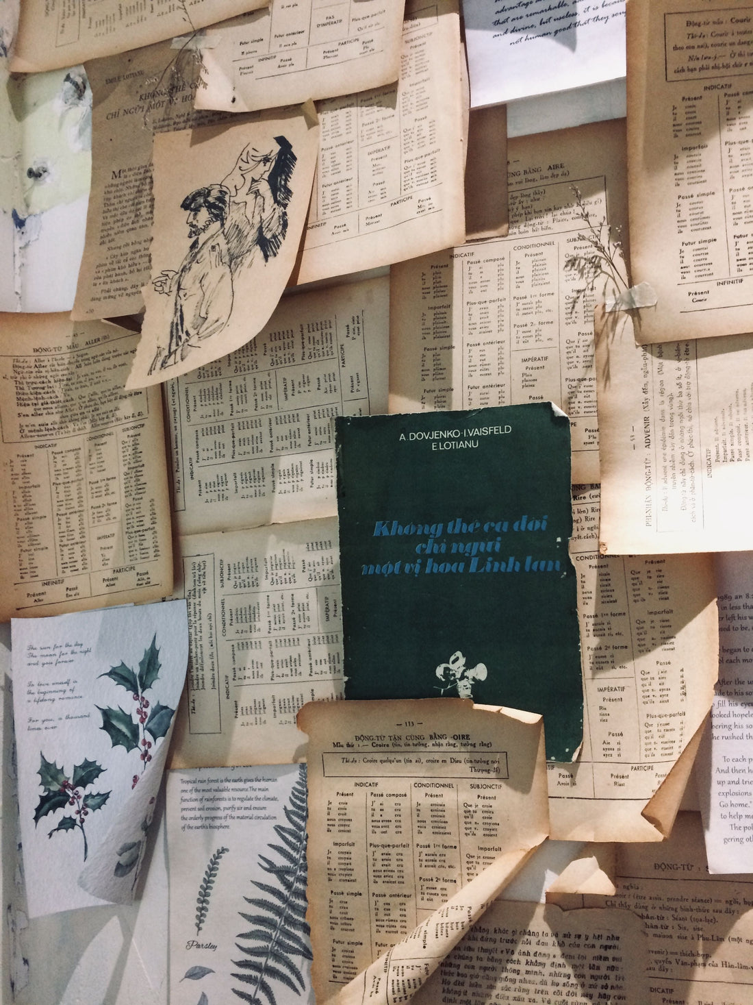 Now Live: Ephemera Category